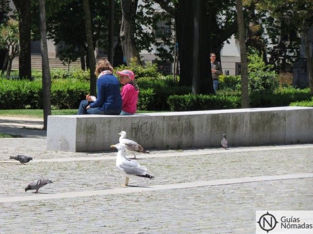 jardin-cordoaria-oporto