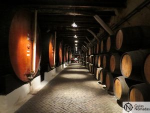 Visita al interior de las bodegas