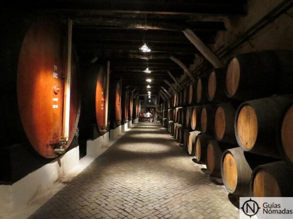 Visita al interior de las bodegas